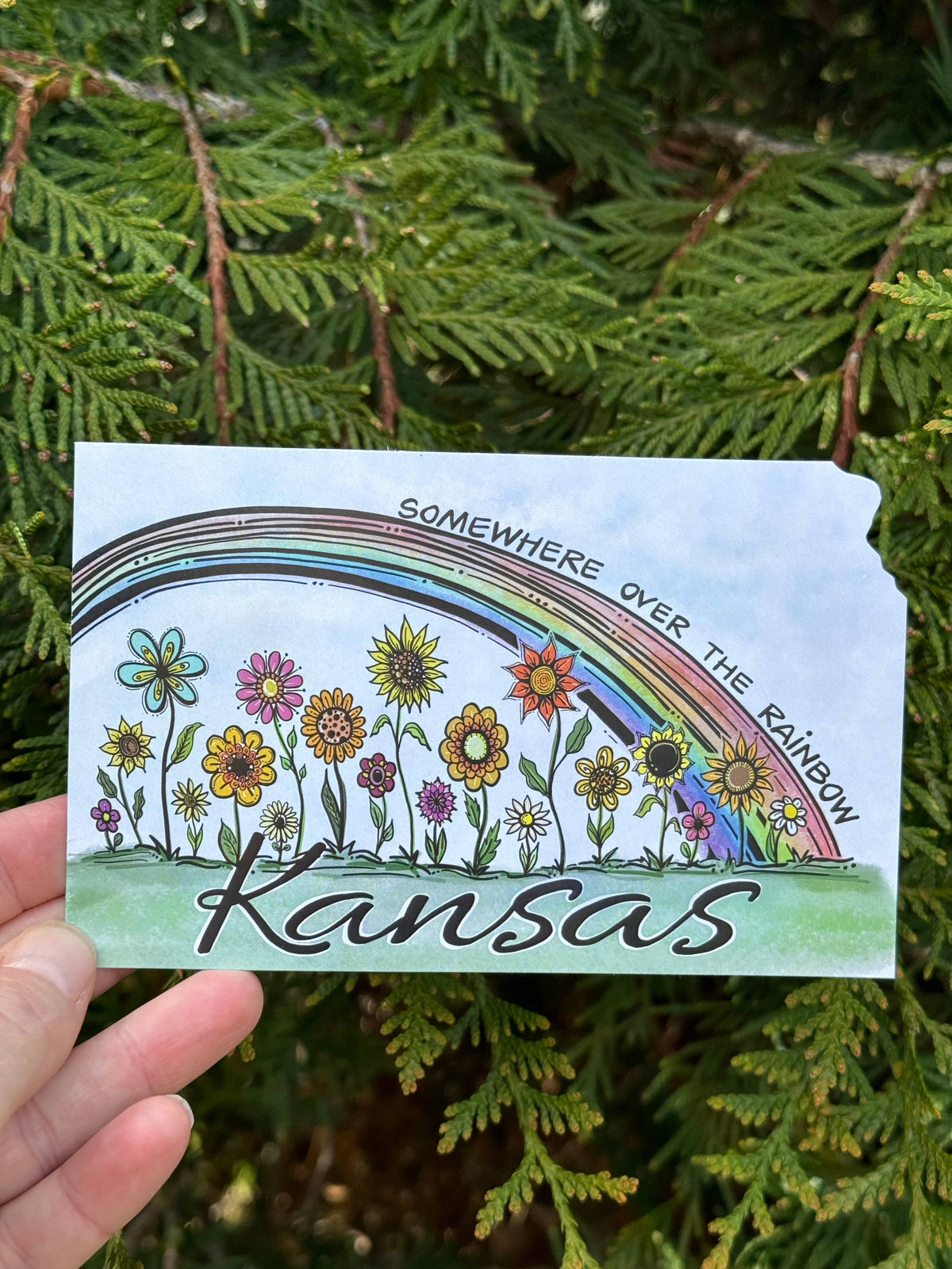Somewhere Over the Rainbow- Kansas Postcard