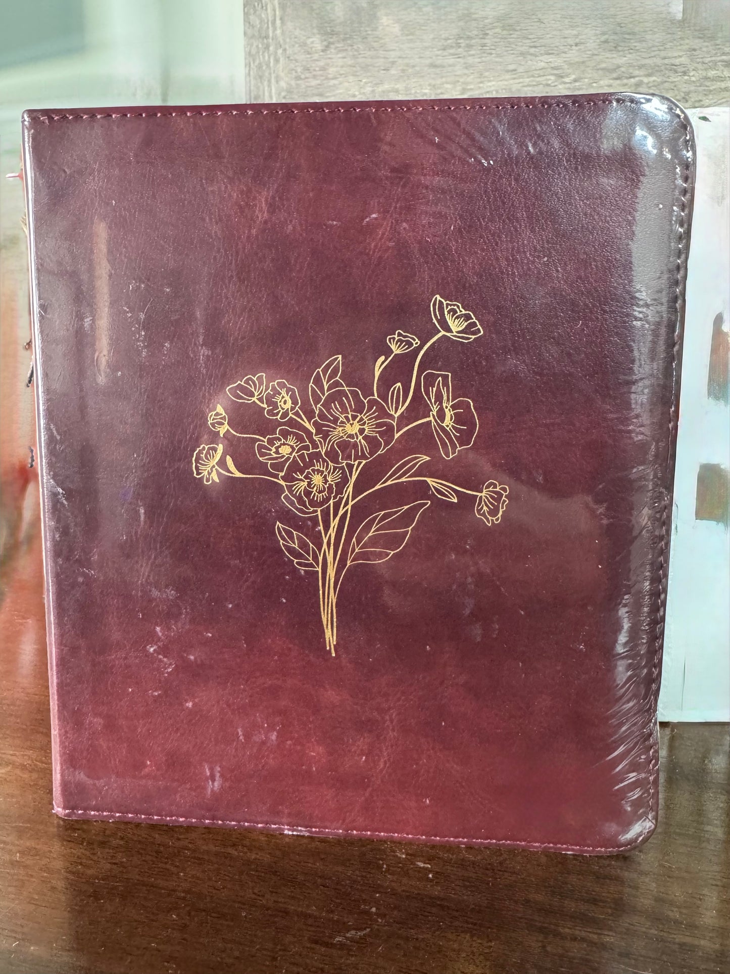 ESV Journaling Bible- Gold Letters