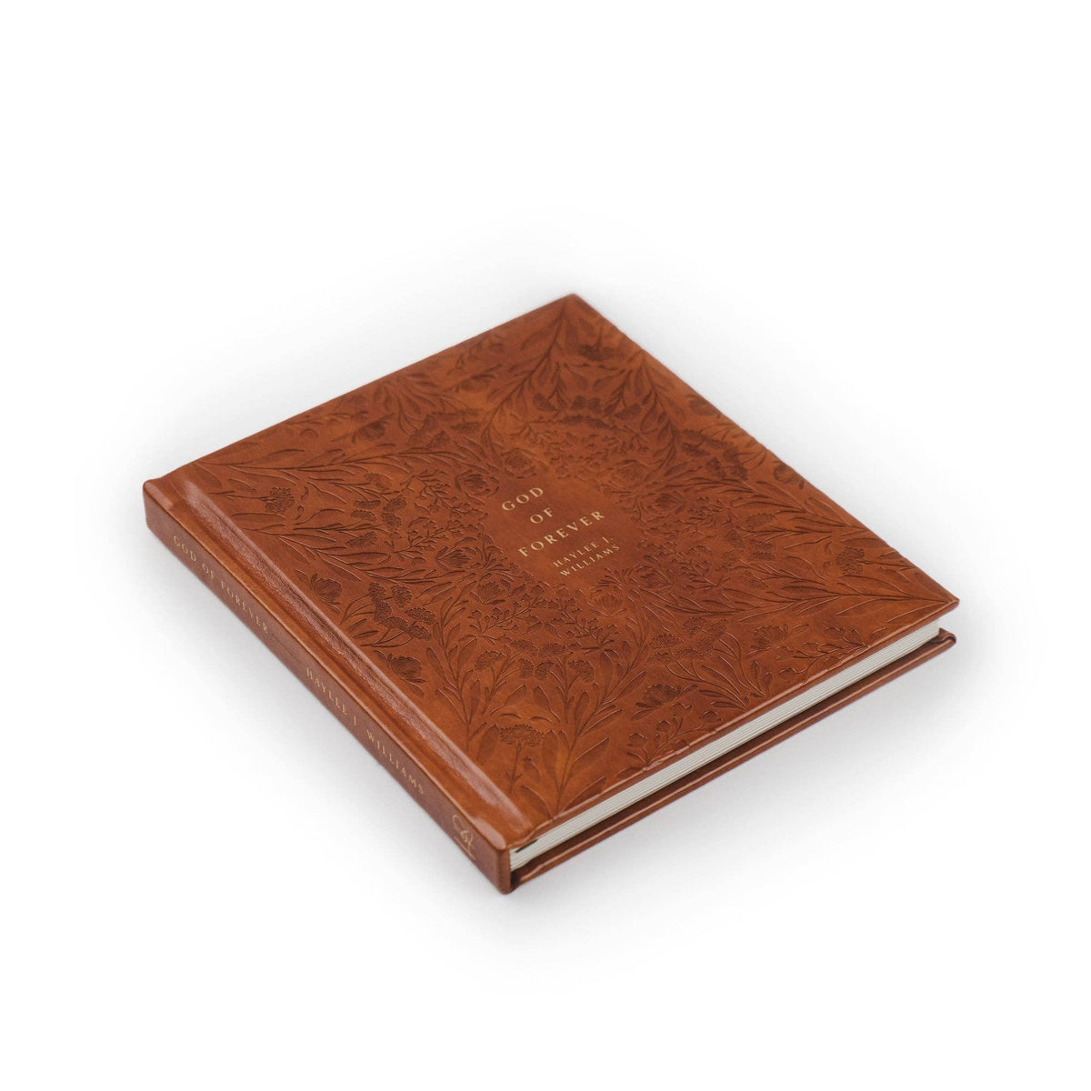 Bible Study: God of Forever by Haylee J. Williams