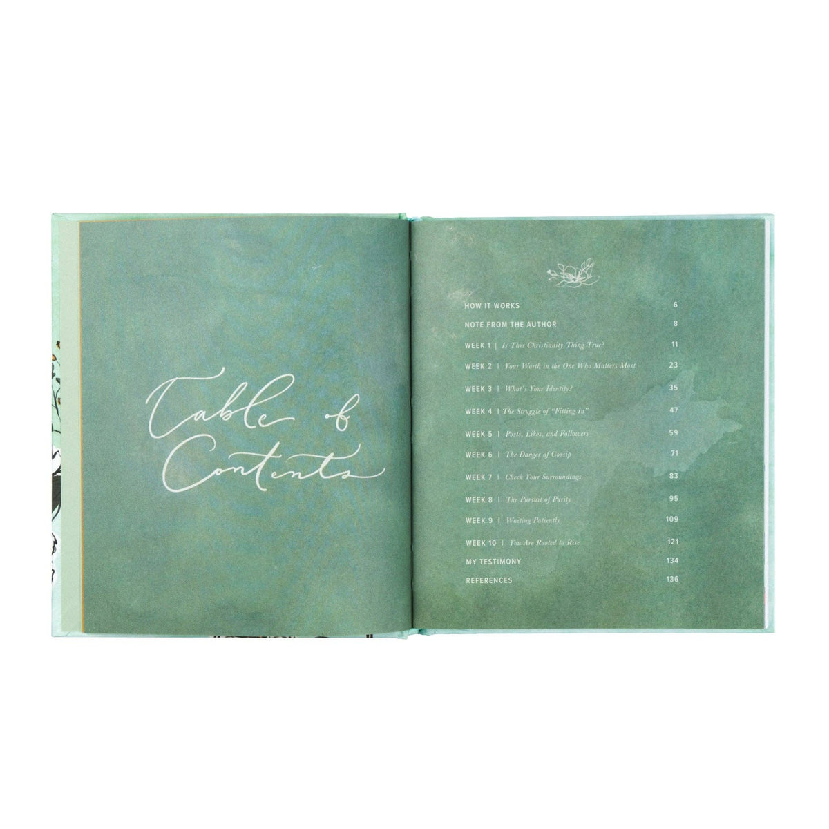 Bible Study: Rooted to Rise by Haley Crabtree