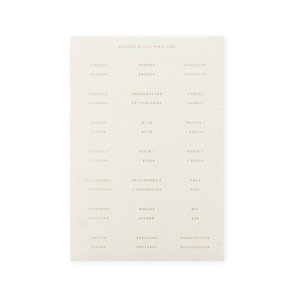 Bible Tabs: Gold Foiling