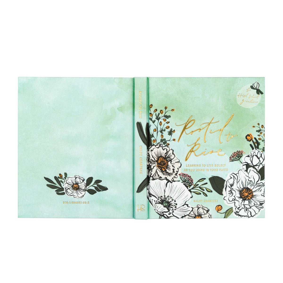 Bible Study: Rooted to Rise by Haley Crabtree