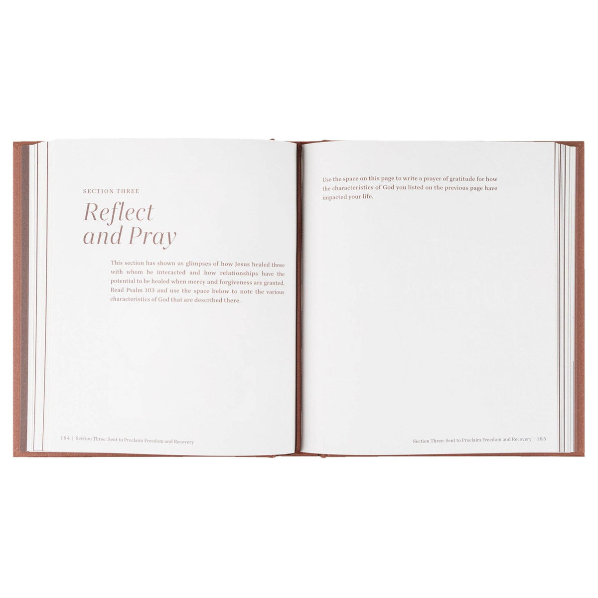 Bible Study: Just by Brooke Jackson