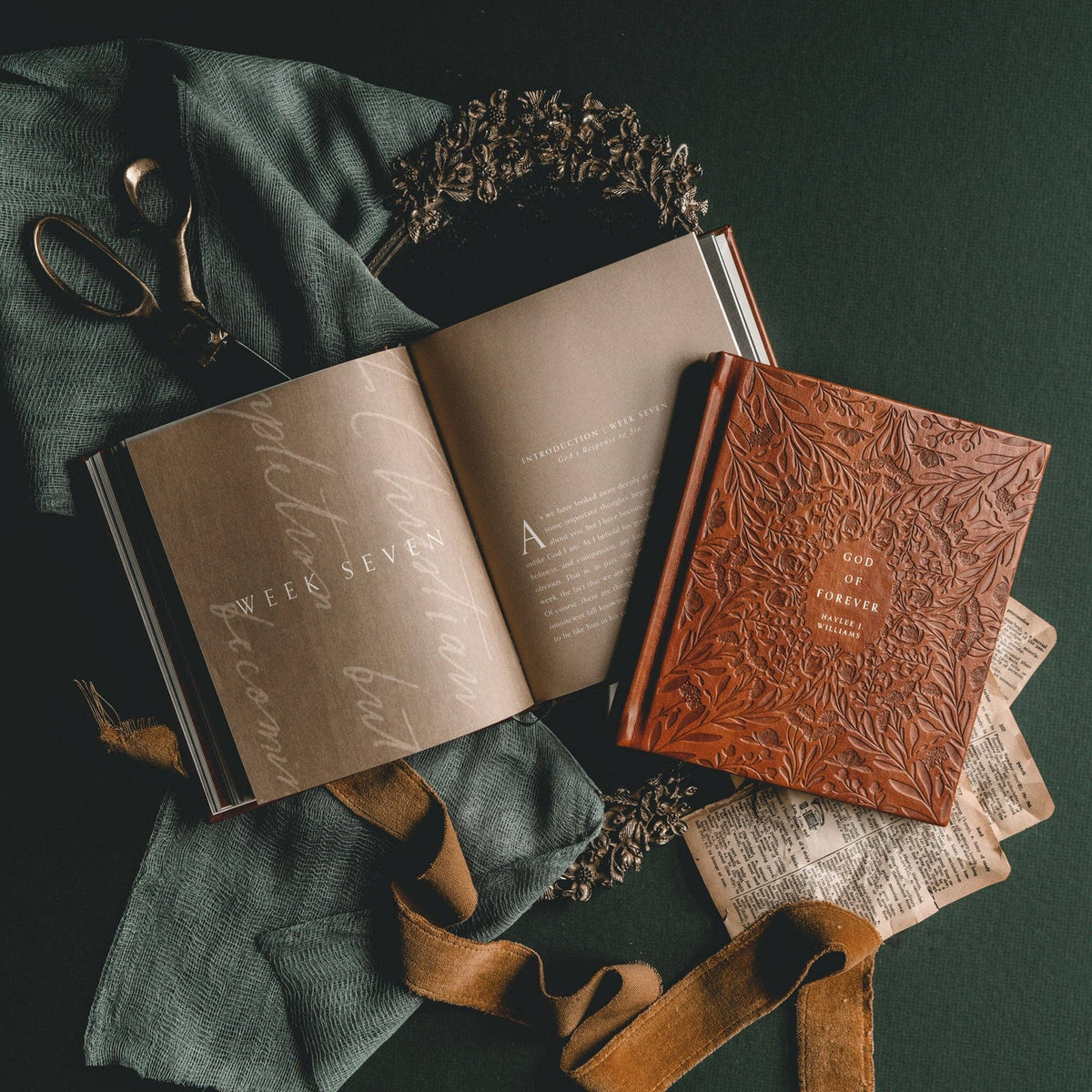 Bible Study: God of Forever by Haylee J. Williams