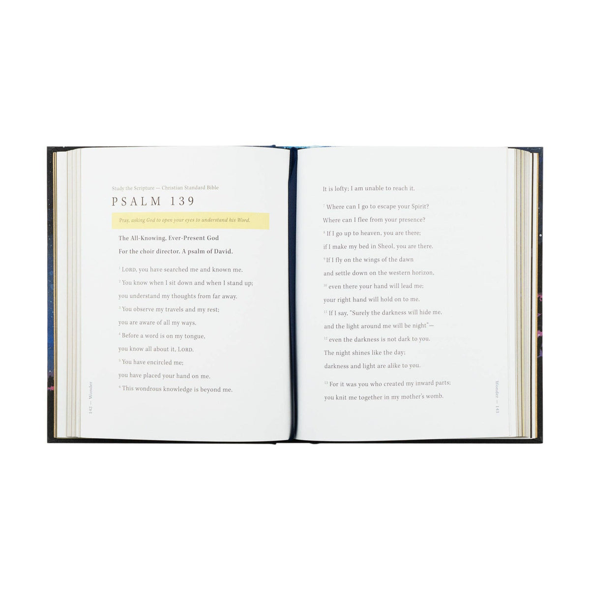 Bible Study: Wonder by Alicia Hamilton