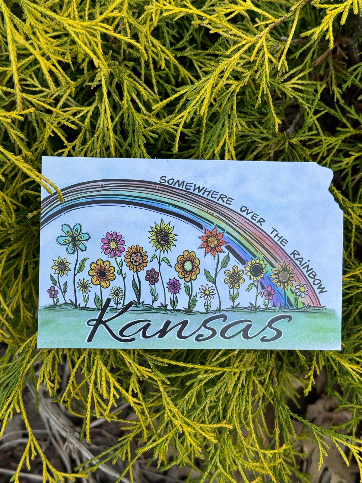 Somewhere Over the Rainbow- Kansas Postcard
